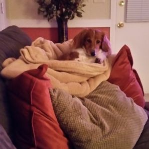 Meet your Posher, Rita